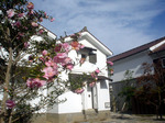 DSC02394.JPG