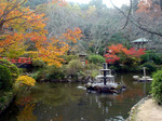 DSC02397.JPG