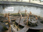DSC02399.JPG
